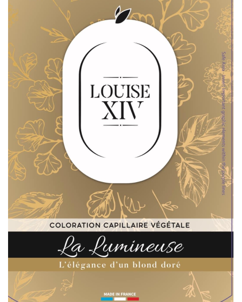 Lucy Coiffure Coiffeur Auray LOUISE XIV 1